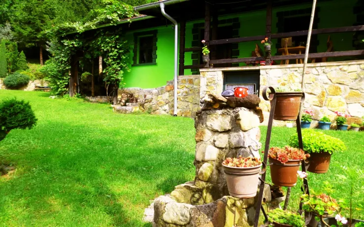 Dvorišni detalj ispred kamene osnove kuće
