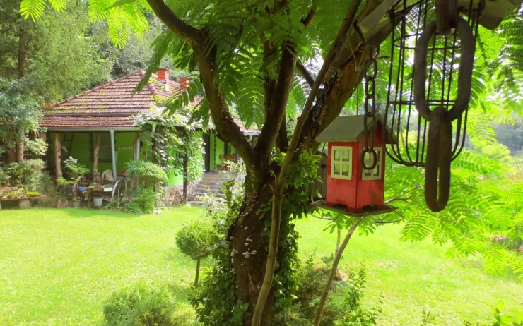 Crvena kućica za ptice i pogled na dvorište