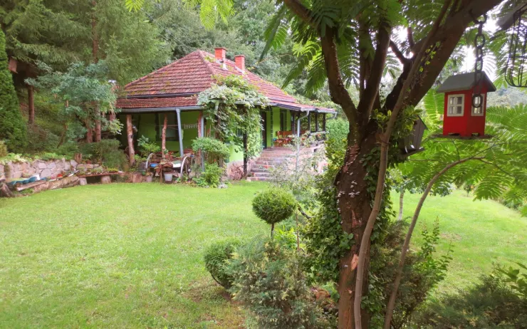 Kuća posmatrana kroz krošnje i zelenilo