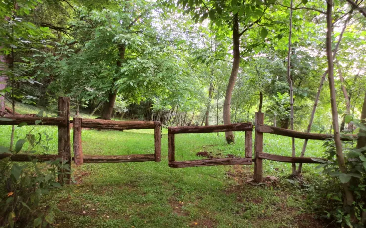 Rustična drvena ograda u šumskom delu imanja